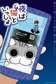 今晚有猫伴身边 海报