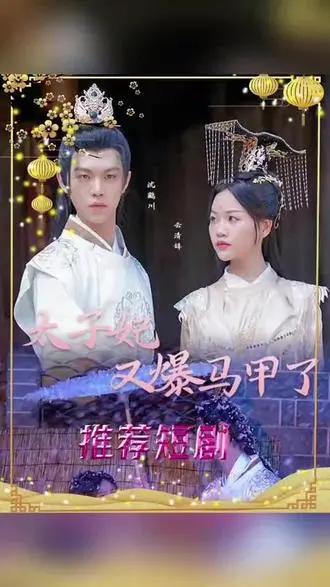 太子妃，你的马甲又掉了：腹黑权谋下的浪漫爱情喜剧