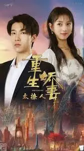 重生娇妻太撩人 海报