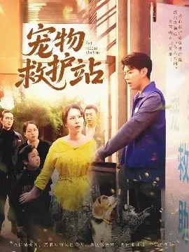 《宠物救护站》：温暖治愈，守护毛孩子的爱与希望