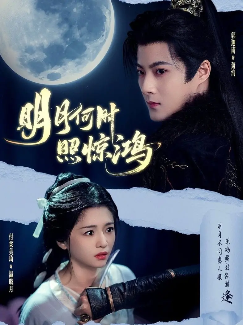 《明月何时照惊鸿》：一场跨越时空的爱恋，古风虐恋下的宿命纠葛与情感救赎