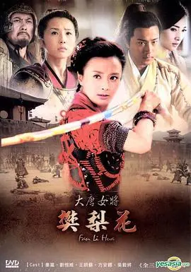 巾帼不让须眉！《大唐女将樊梨花》：传奇女英雄的爱恨情仇与家国大义