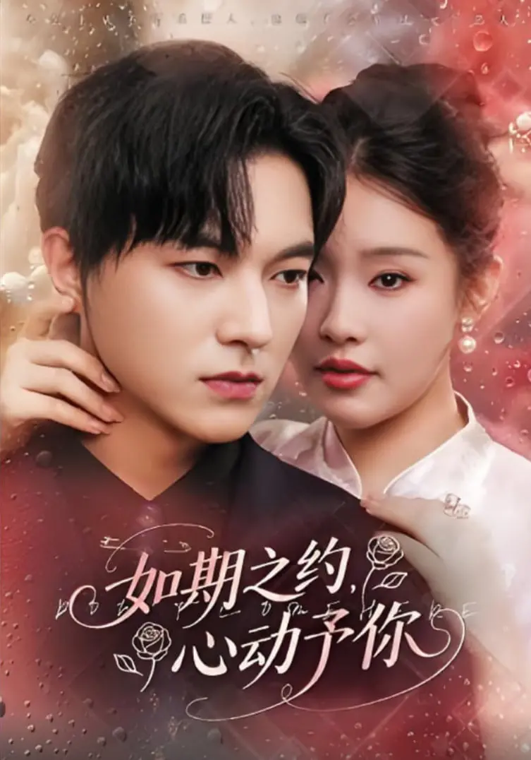 《如期之约心动予你》：一场命中注定的邂逅，甜度超标的爱情喜剧！